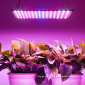 Hot Sale Wenyi 225 leds grow light panel